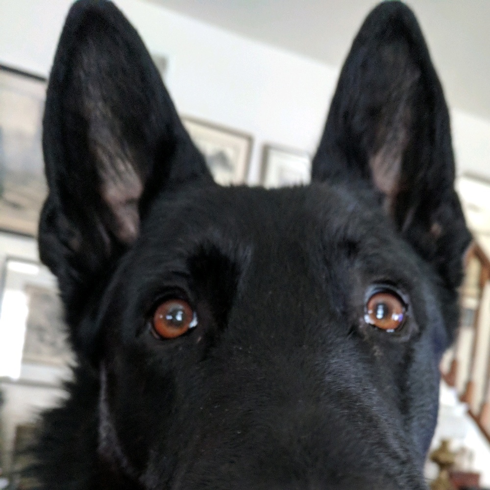 Meet your Posher, Christina